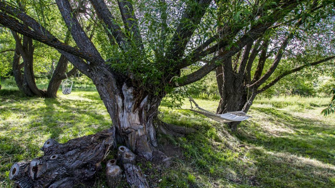 Masia El Cabrero Villarroya de los Pinares Luaran gambar